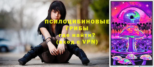 мяу мяу кристалл Покачи