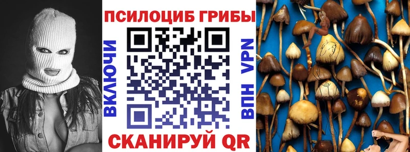 Галлюциногенные грибы Cubensis  цена наркотик  omg онион  Нариманов 